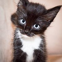 biancaliebenberg avatar