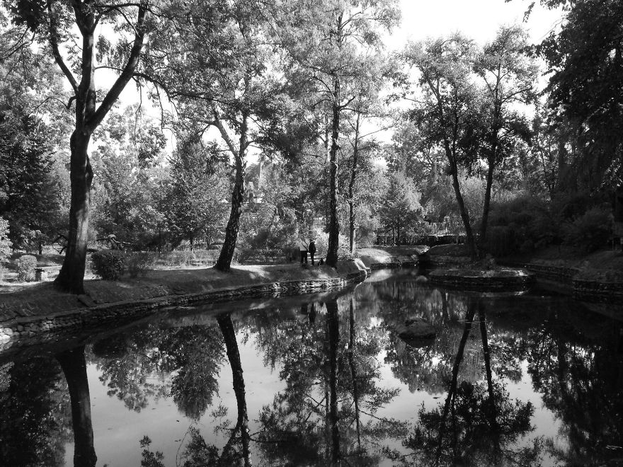 The Garden Of Bran Castle