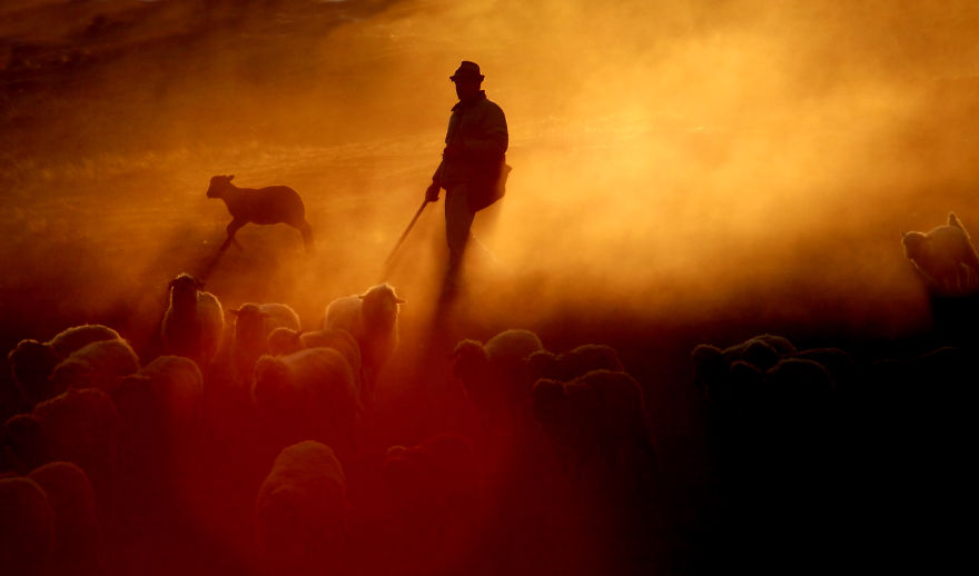 Shepherd At Sunset (miorita) - By The Mud Volcanoes (vulcanii Nroiosi) - By Tudor Jelescu