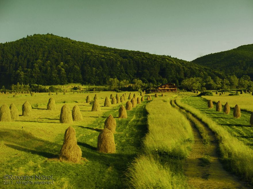 Bucovina, "home Sweet Home", 2011
