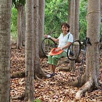 maryjeanne.oportoflordelis avatar