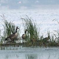 stephanie.rodrigue.142 avatar