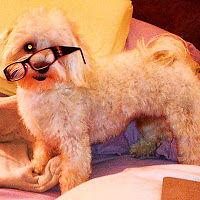 sophiachristina avatar