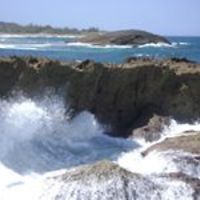 robin.mcgee.566 avatar