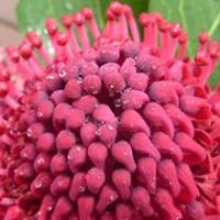 lauren.jauquet.3 avatar