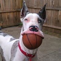 pia.madsen.3781 avatar