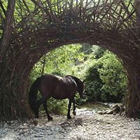 michelle_thornton_9847 avatar