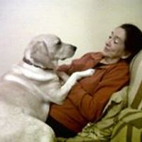 ursula_nieuwenhuizen avatar