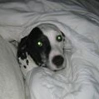 victoriamalbone avatar