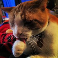 bill_hess_313 avatar