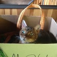 elaine_kuppler avatar