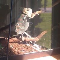 megan_bartley_988 avatar