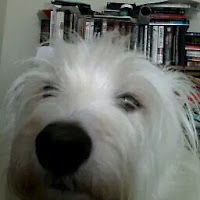 eleanortotten avatar