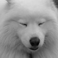 anne_morgan_399 avatar