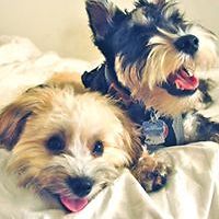 5458cebb48f14 avatar