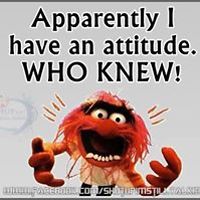 millie_fippen avatar