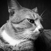 janet_appaschick avatar