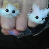 madame_tukatz avatar