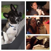 corina_palmer_5 avatar