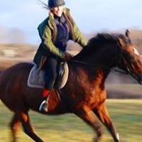 charlotte_tengelin avatar