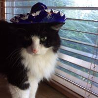 mary_mulqueen_10 avatar