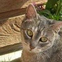 kate_young_3139 avatar