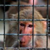 chrisadrian_barnido avatar