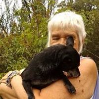 gwen_lyndsong avatar