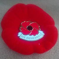 joedrummergirl avatar