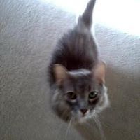 545a83bea83dd avatar