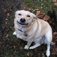 LaurieKruczek avatar