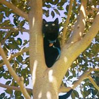 susanna_miller3 avatar