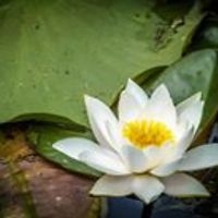 biancabechisi avatar