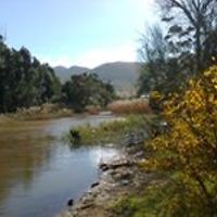 lin_morris_79 avatar