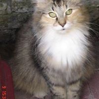 astridenmichelle avatar