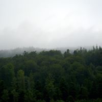 natalia_hochweis_7 avatar