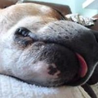 Sara_Louise_Bana avatar