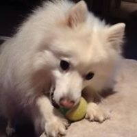 ali_greene_94 avatar