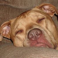 laura_davis_946179 avatar