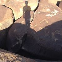 mauricio_montenegro_7545 avatar