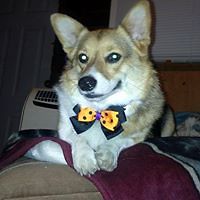 shavonne_belford avatar