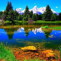 faragalfrgani avatar