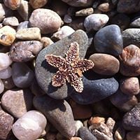 rita_oconnor_73 avatar