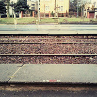 mateuszzmateoosh12 avatar