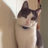 marilyn_oconnell_92 avatar