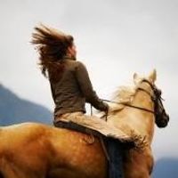 susan_e_albert_7 avatar