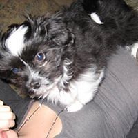 meaghan_bruce1 avatar