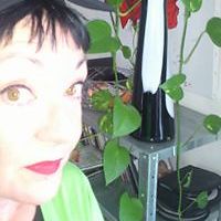 kitty_gilberto avatar