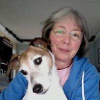 5461b4c169a65 avatar