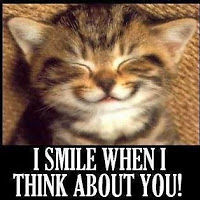 claragreenberg avatar